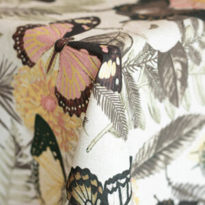 Beautiful Butterflies